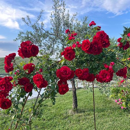 Masso Alle Rose Di Santarsiero Serena Montaione Bagian luar foto