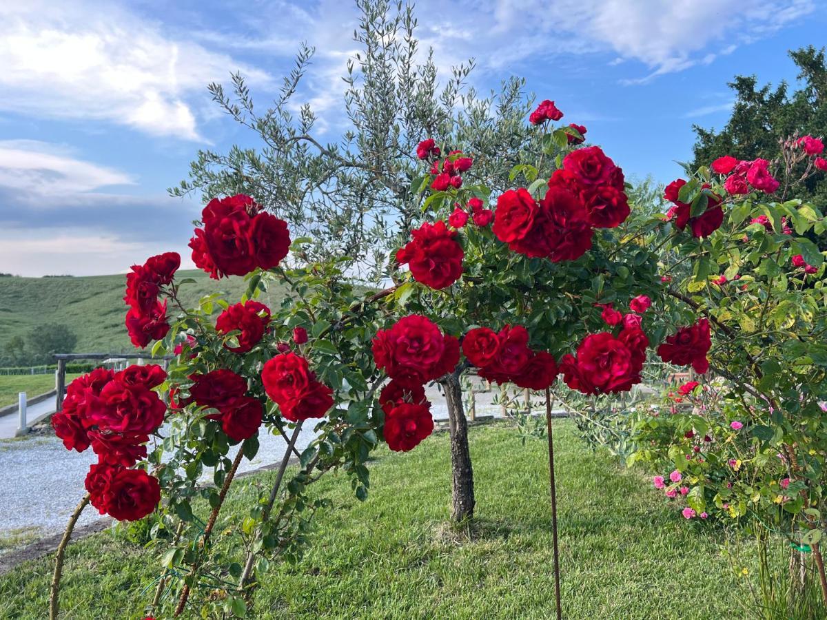 Masso Alle Rose Di Santarsiero Serena Montaione Bagian luar foto